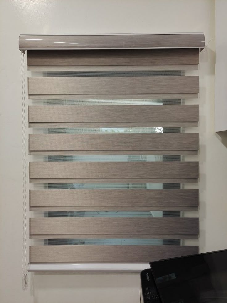 Zebra Blinds